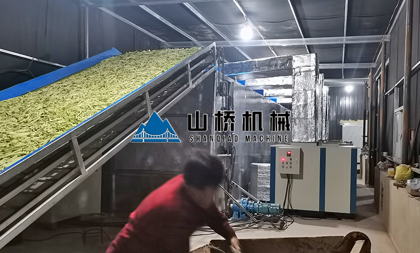 網(wǎng)帶式蘿卜烘干機(jī)優(yōu)勢有什么？(圖1)