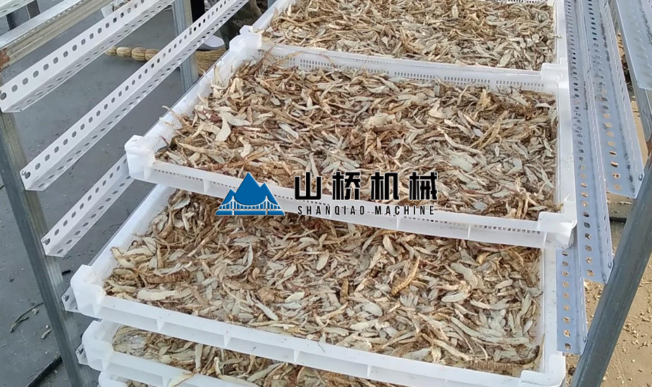 空氣能熱泵中藥材玉竹烘干房(圖2) 空氣能熱泵中藥材玉竹烘干房(圖2)