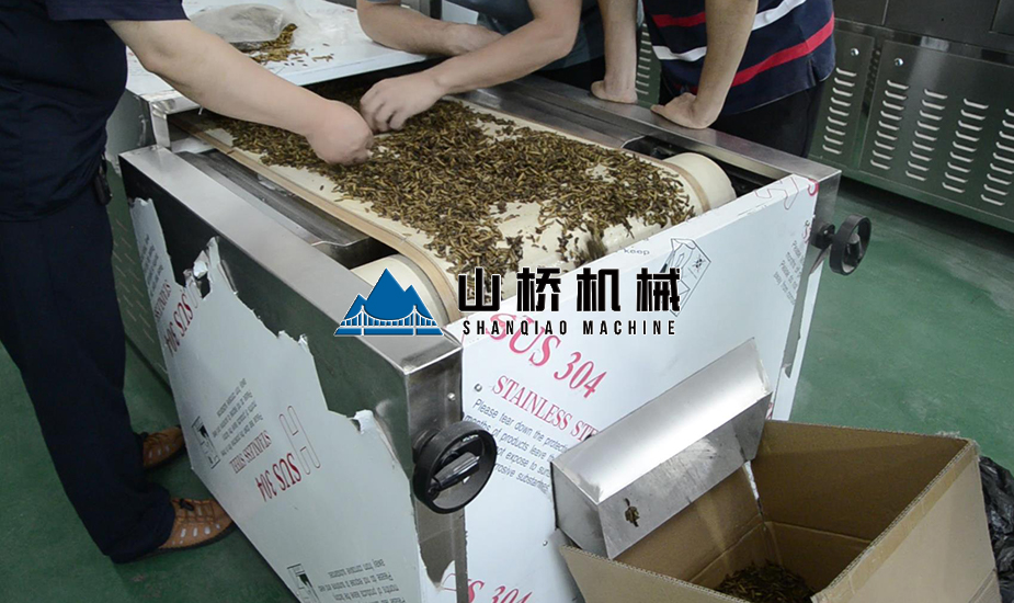 黃粉蟲微波殺菌機(圖1) 黃粉蟲微波殺菌機(圖1)