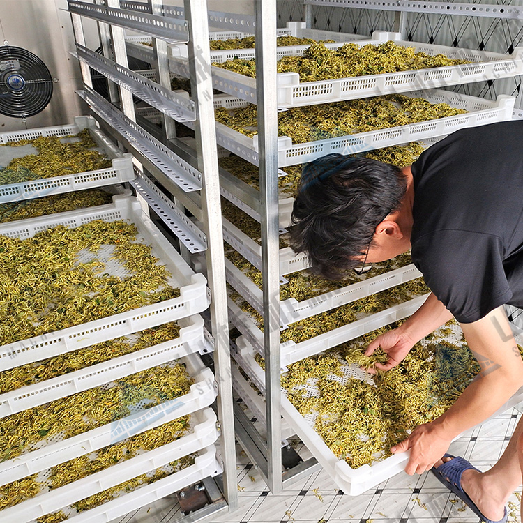 金銀花烘干機使用經(jīng)驗談(圖1) 金銀花烘干機使用經(jīng)驗談(圖1)