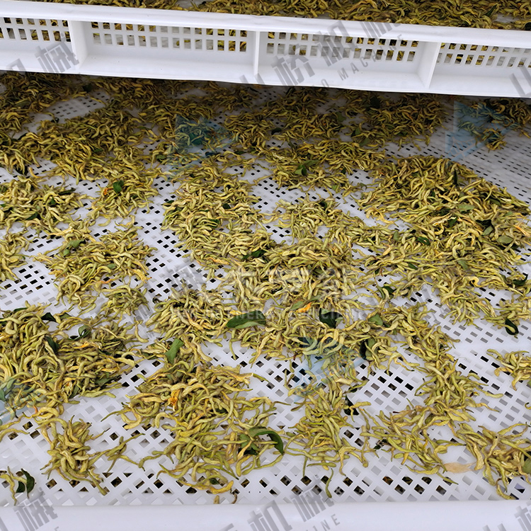 金銀花烘干機使用經(jīng)驗談(圖2) 金銀花烘干機使用經(jīng)驗談(圖2)