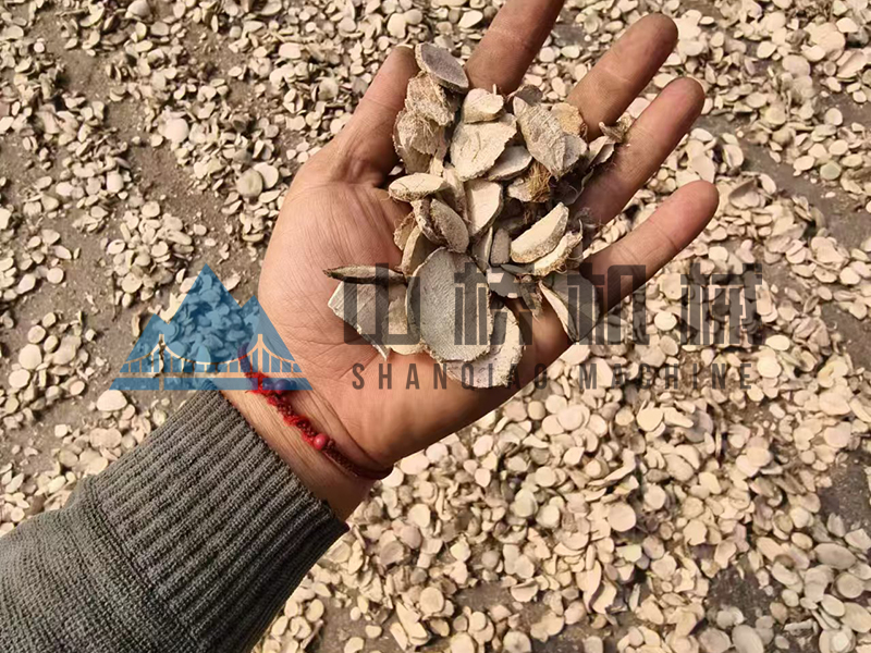 什么是中藥材烘干機(jī)，用熱泵烘干中藥材有什么好處！(圖1)