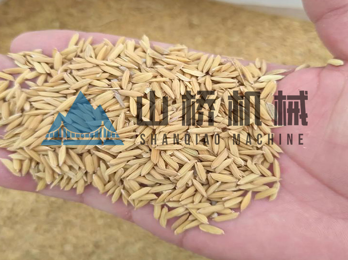 守護糧安:現(xiàn)代化稻谷烘干工藝解析(圖1) 守護糧安:現(xiàn)代化稻谷烘干工藝解析(圖1)